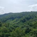 Chepo Land Opportunity: 135 Hectares with River Access