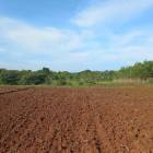 Vendo Finca para Ganaderia en Darien, Santa Fe