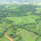 Finca titulada de 25 hect&aacute;reas en Uni&oacute;n de Azuero, Tanara