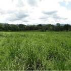 GRAN LOTE PLANO 6,144m&sup2; en Dari&eacute;n - Acceso Asfaltado y Cercado