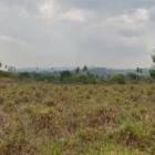 $5,500 LA HECTAREA SE VENDEN 644+1,936 MTS2 EN SANTA BARBARA