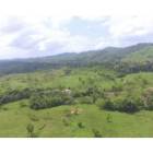 Lotes y Terrenos en Setegant&iacute;, Chepigana