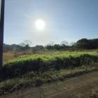 Lotes y Terrenos en Pedas&iacute;