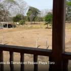 Lotes y Terrenos en Pedas&iacute;