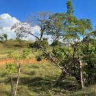 Lotes y Terrenos en Santiago