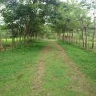 Lotes y Terrenos en Calov&eacute;bora, Santa F&eacute;