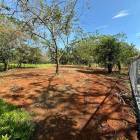 Lotes y Terrenos en Santa Catalina, Son&aacute;