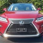2020 Lexus RX