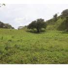 Lotes y Terrenos en Las Tablas