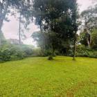 Terreno en Venta Av. Belisario Porras, Calle Y norte y Av. Tom&aacute;s Herrera
