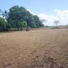 Venta Terreno Herrera Santa Maria