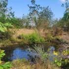 Venta de Terreno en Las Tablas Pocr&iacute;/parritilla 15.5 Hect&aacute;reas