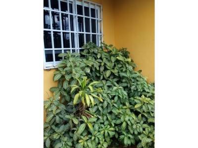 Apartamento en Barrio Col&oacute;n, La Chorrera