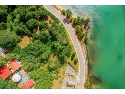 Lotes y Terrenos en Bocas Del Toro