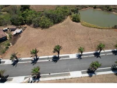 Lotes y Terrenos en Pedas&iacute;