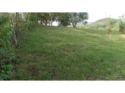 Lotes y Terrenos en Barrio Col&oacute;n, La Chorrera