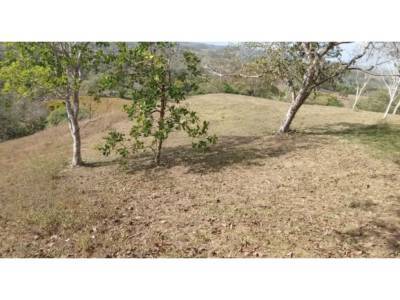 Lotes y Terrenos en Barrio Col&oacute;n, La Chorrera