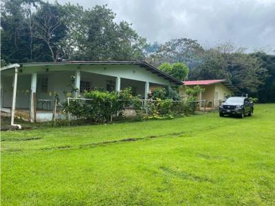 Lotes y Terrenos en Barrio Col&oacute;n, La Chorrera