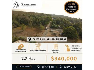 Lotes y Terrenos en Puerto Armuelles, Bar&uacute;