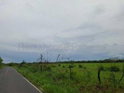 Venta Terreno R&iacute;o Hato Ih