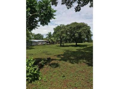 Lotes y Terrenos en David