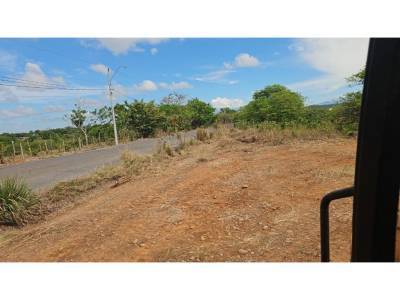 Lotes y Terrenos en Las Lomas, David