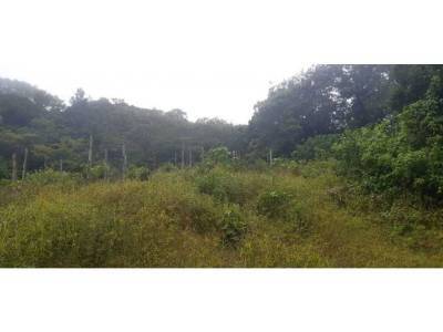 Lotes y Terrenos en Palmira, Boquete