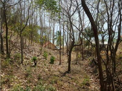 Lotes y Terrenos en Cambutal, Tonos&iacute;