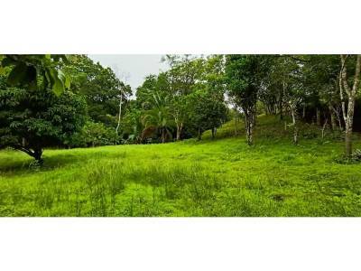 Lotes y Terrenos en Bucaro, Tonos&iacute;