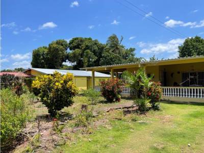 Casa en Barrio Col&oacute;n, La Chorrera