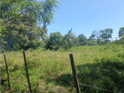 Lotes y Terrenos en Alanje