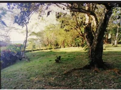 Lotes y Terrenos en Alto El Maria, Chame