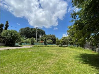 Lotes y Terrenos en Barrio Col&oacute;n, La Chorrera
