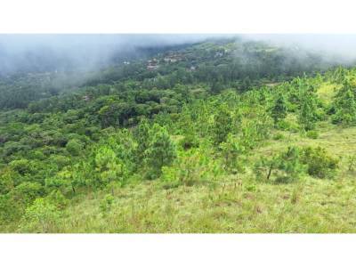 Lotes y Terrenos en Capira