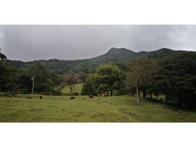 Lotes y Terrenos en Chiriqu&iacute;