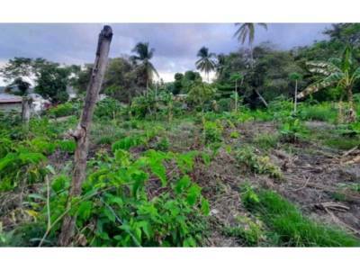 Lotes y Terrenos en La Herradura, La Chorrera