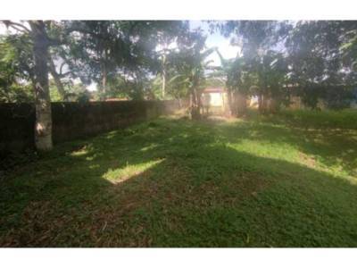Lotes y Terrenos en El Coco, La Chorrera