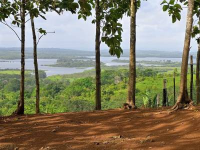 Lotes y Terrenos en Mendoza, La Chorrera, Panam&aacute; Oeste, Pan