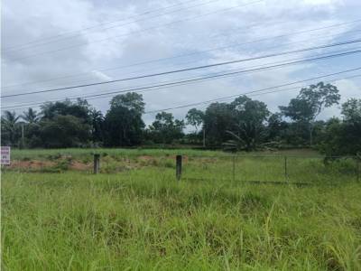 Lotes y Terrenos en Aserr&iacute;o De Garich&eacute;, Bugaba