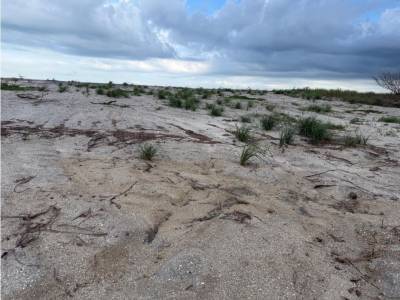 Lotes y Terrenos en Nueva Gorgona, Chame