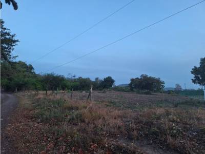 Lotes y Terrenos en Ca&ntilde;averal, Penonom&eacute;