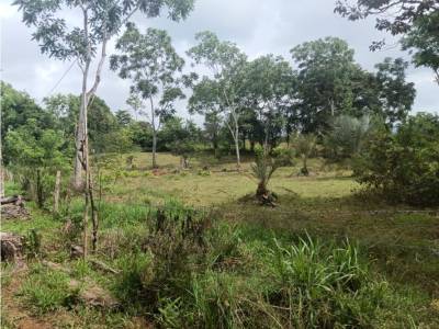 Lotes y Terrenos en Aserr&iacute;o De Garich&eacute;, Bugaba