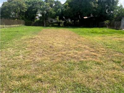Lotes y Terrenos en La Villa De Los Santos