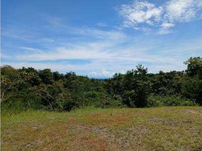 Lotes y Terrenos en Los Llanitos, San Carlos