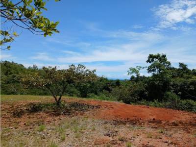 Lotes y Terrenos en Los Llanitos, San Carlos
