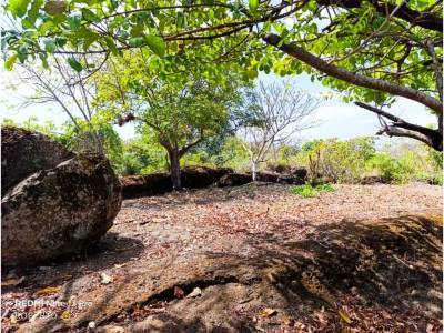 Lotes y Terrenos en Palmas De Gorgona, Chame